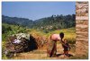 9/nepal 2003 17 (Small).jpg